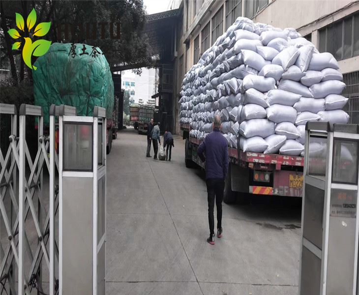 chinese exporter gunpowder green tea 9375