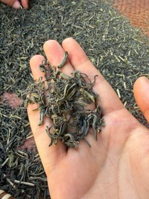 Air-Dried Gunpowder Pellets | Natural Drying Craft, Original Tea Character high quality